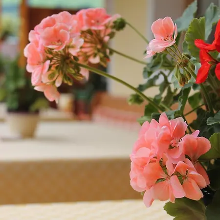 Szálloda Sonne Niederau