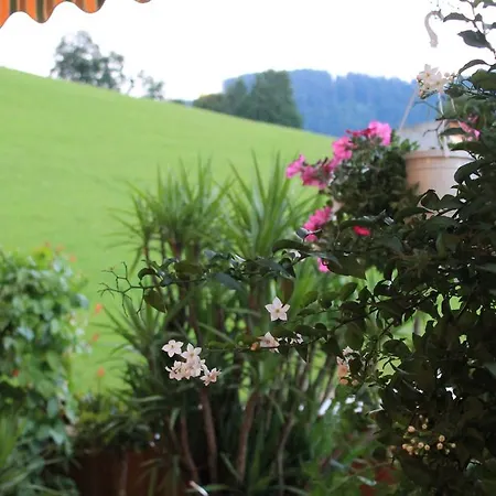 فندق Sonne نيديراو
