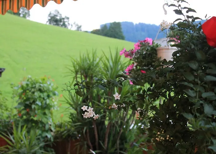 Hotel Sonne Niederau