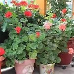 Szálloda Sonne Niederau