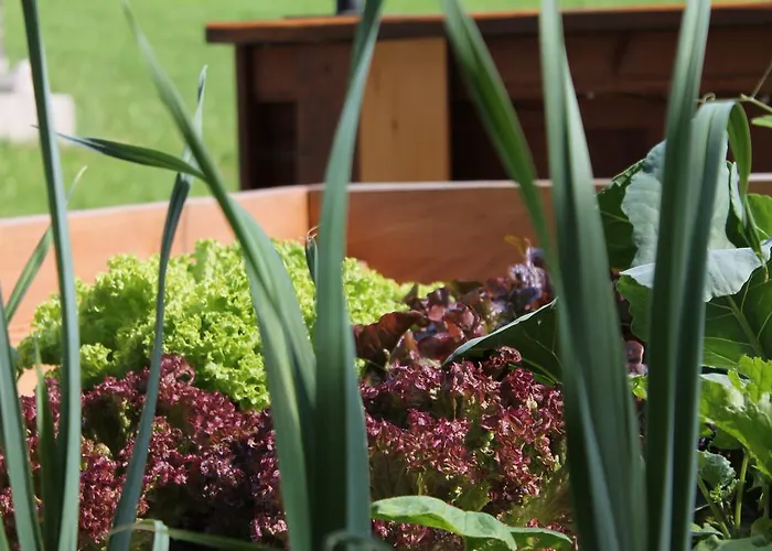 Hotel Sonne Niederau