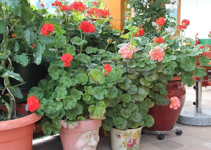 Hotel Sonne Niederau